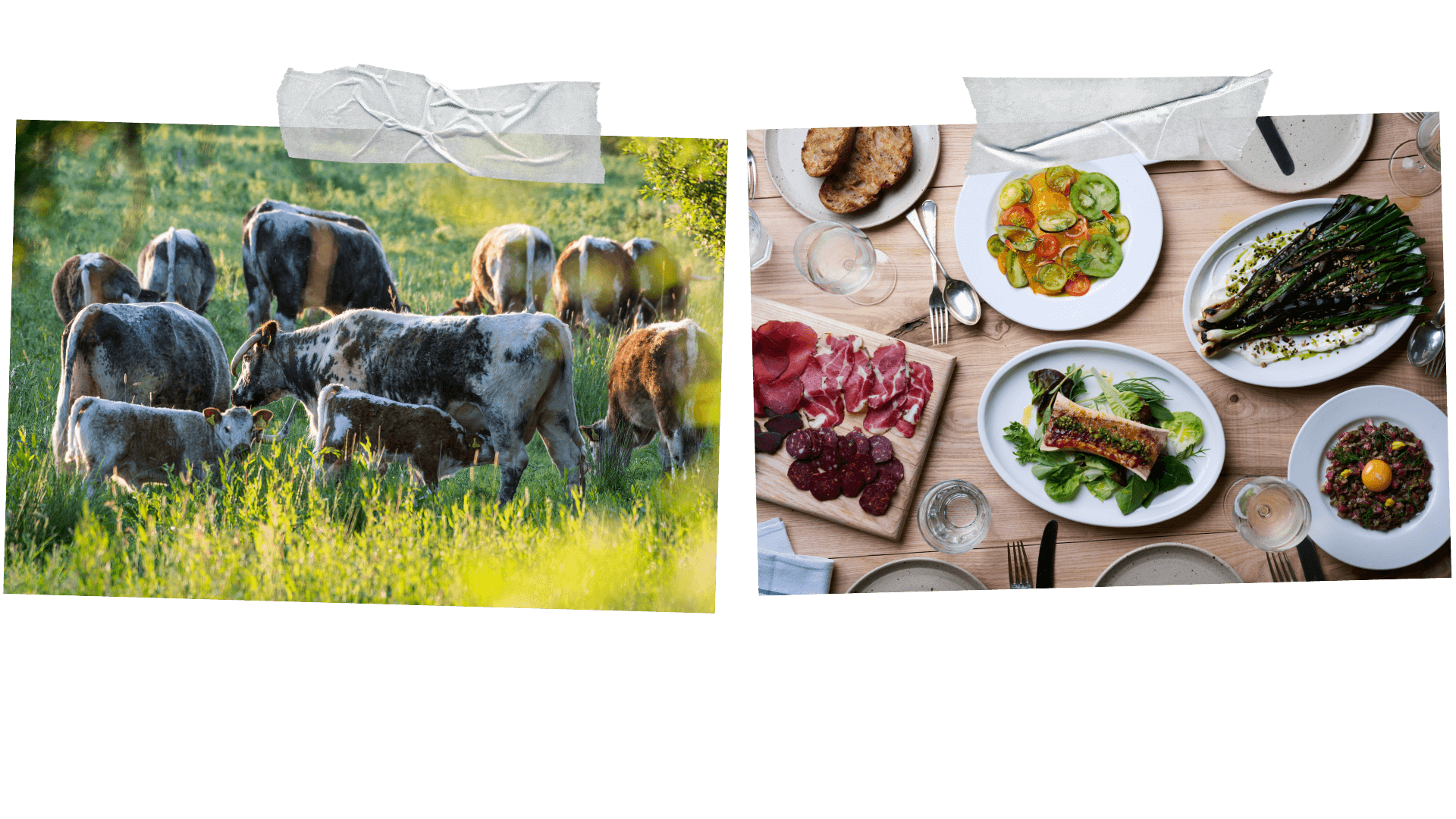 Regen Dining_Embed 1_Credit_Courtesy of Knepp