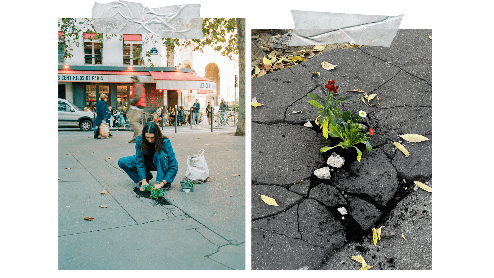 Guerilla Gardening_Embed1_Credit_Liza Voloshin, Lily Tagiuri ​