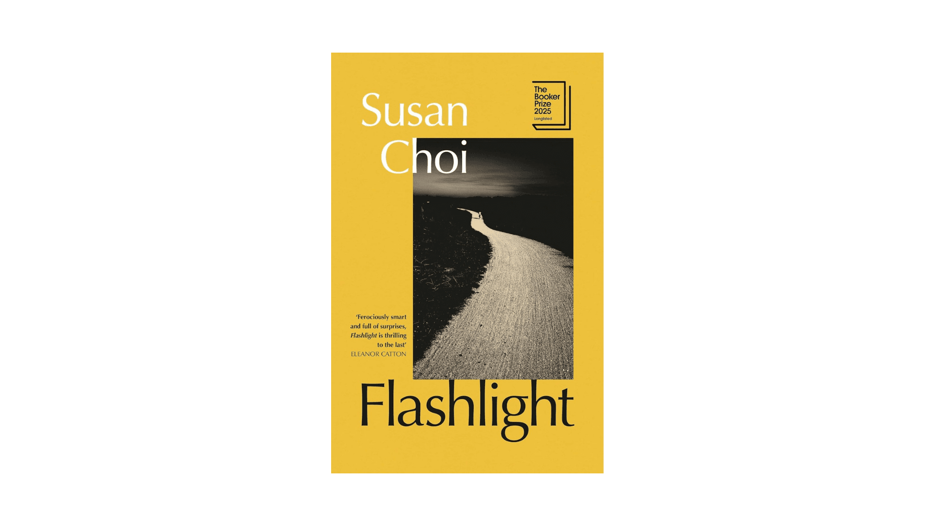 Best Holiday Reads: Flashlight by Susan Choi