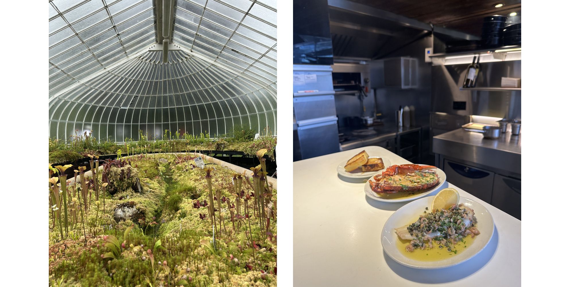 Photos showing Glasgow Botanical Gardens and Crabshakk restaurant in Finnieston