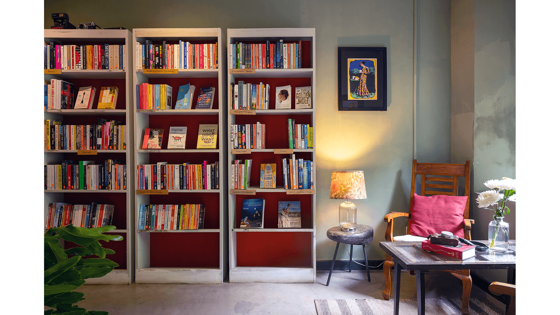 Best_Independant_Bookstores_Wild_And_Sage_Embed15.png