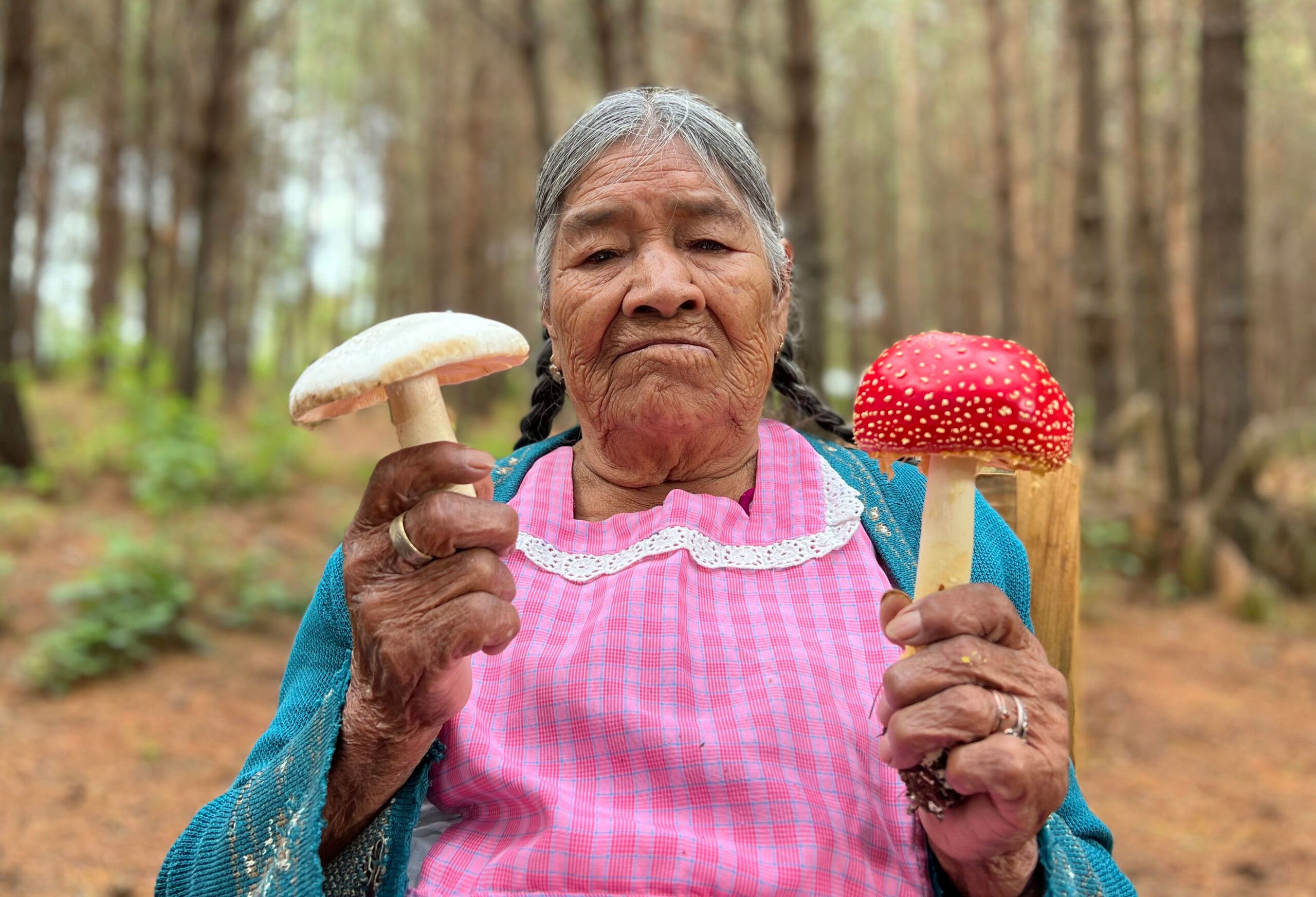Daughters_of_the_Forest_credit_the_Redford_Centre.jpg