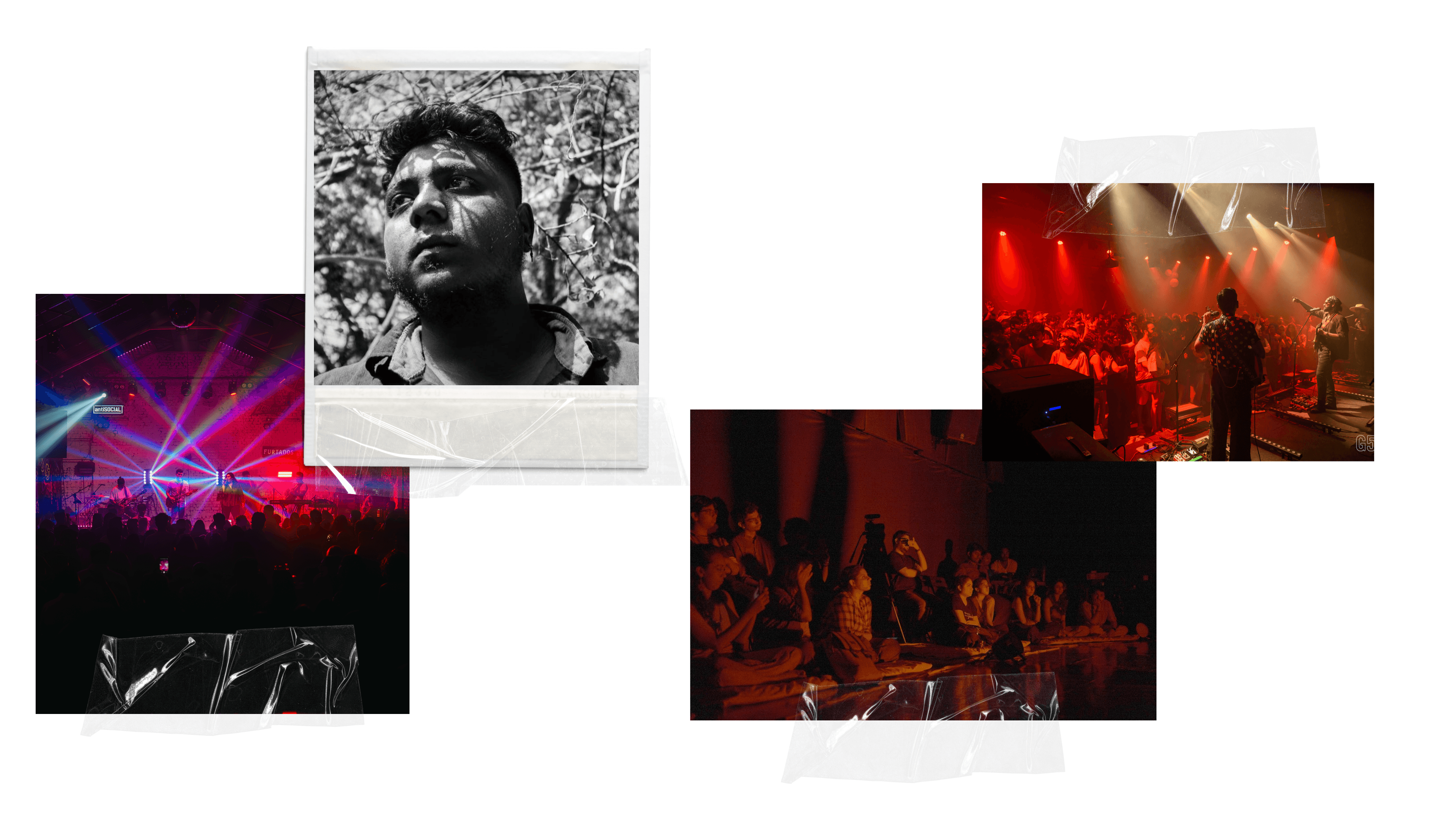 Dialled_In_Embed2.png