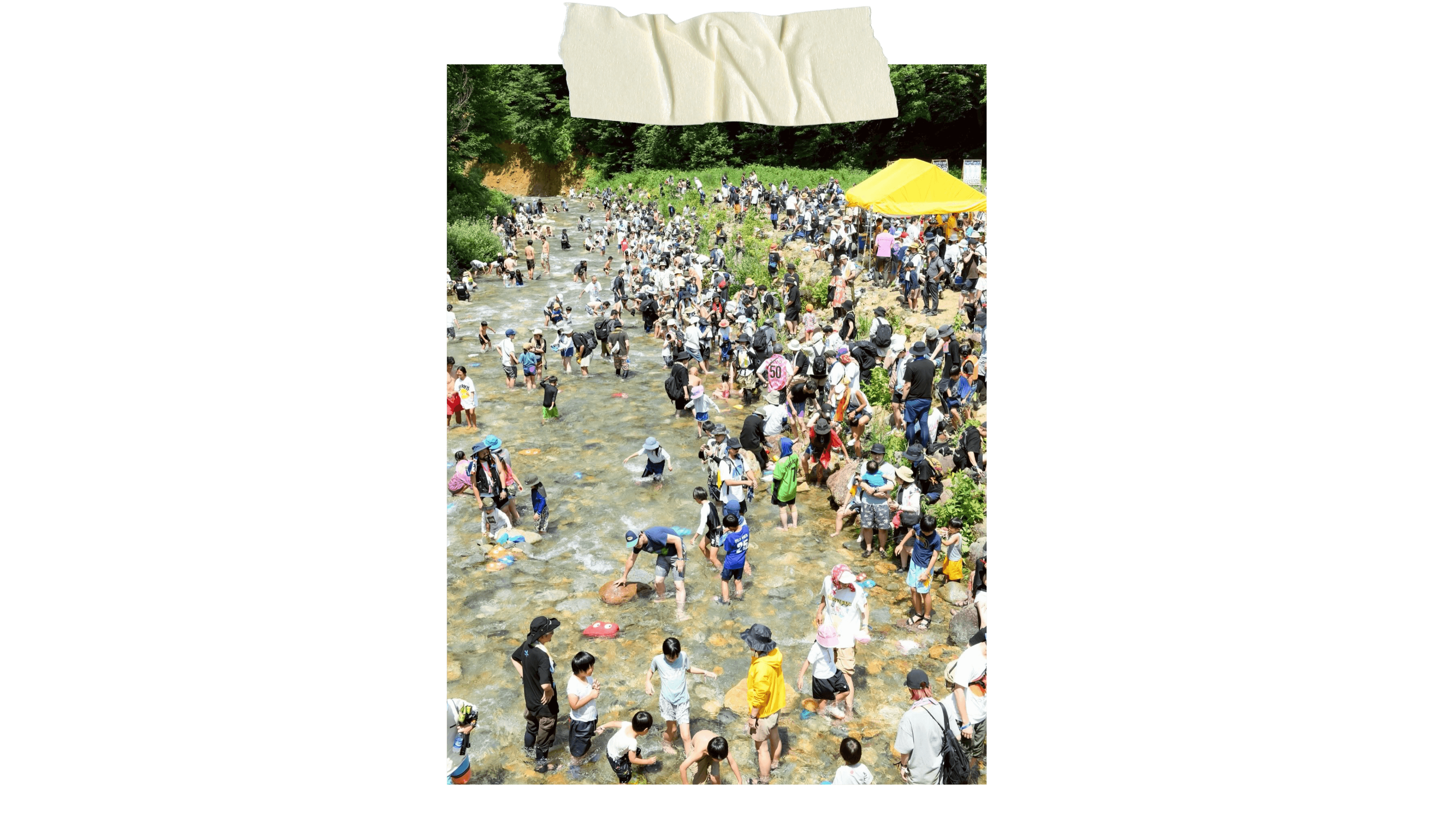 Fuji Rock Festival_Embed10_Credit_Fuji Rock Festival
