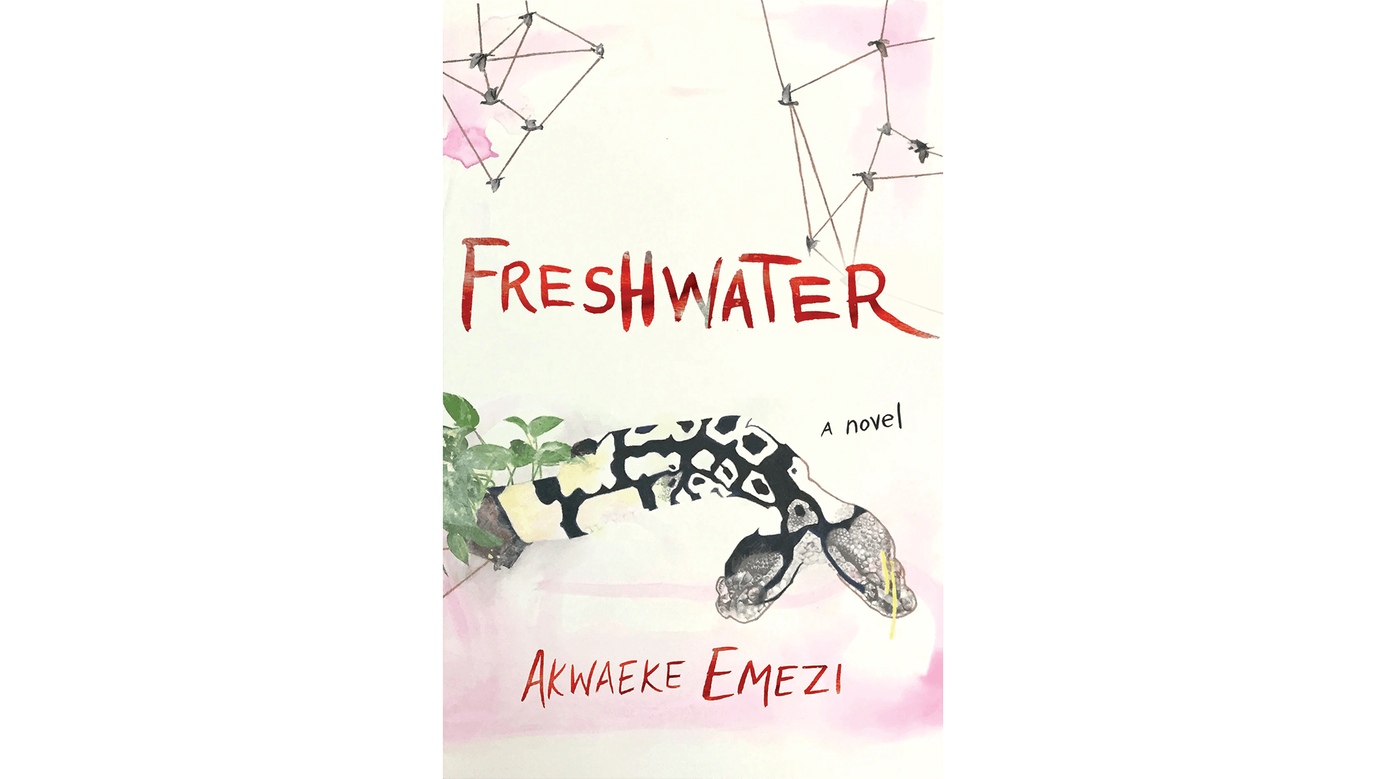 Freshwater-by-Akwaeke-Emezi_embed.png