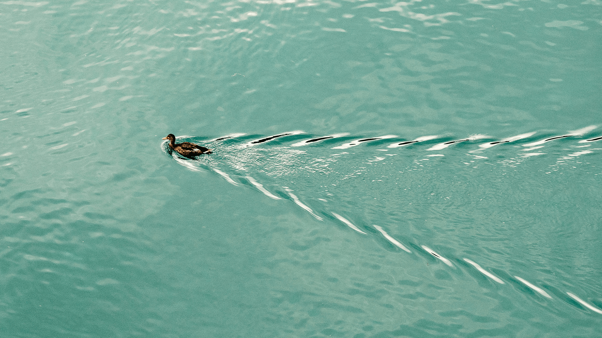 7 Micro-Shifts That Actually Work