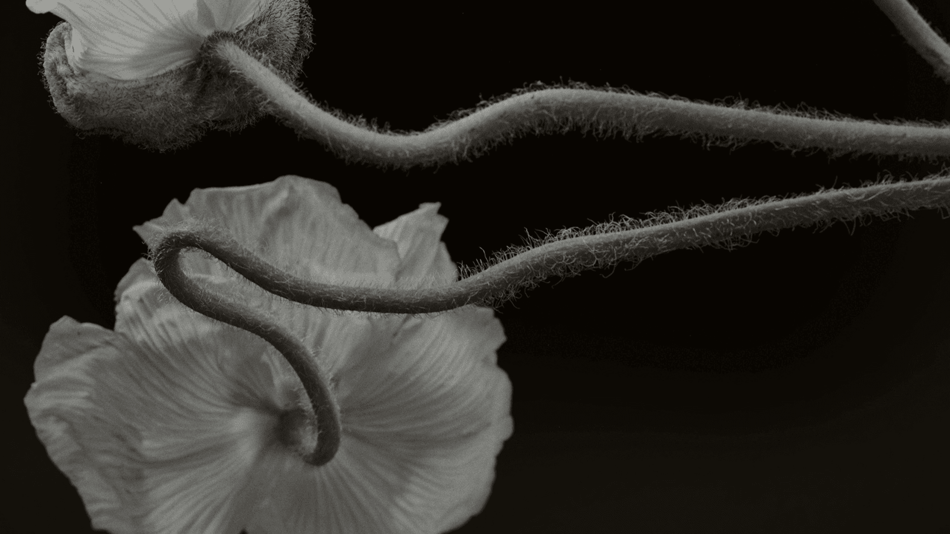 7 Micro-Shifts That Actually Work