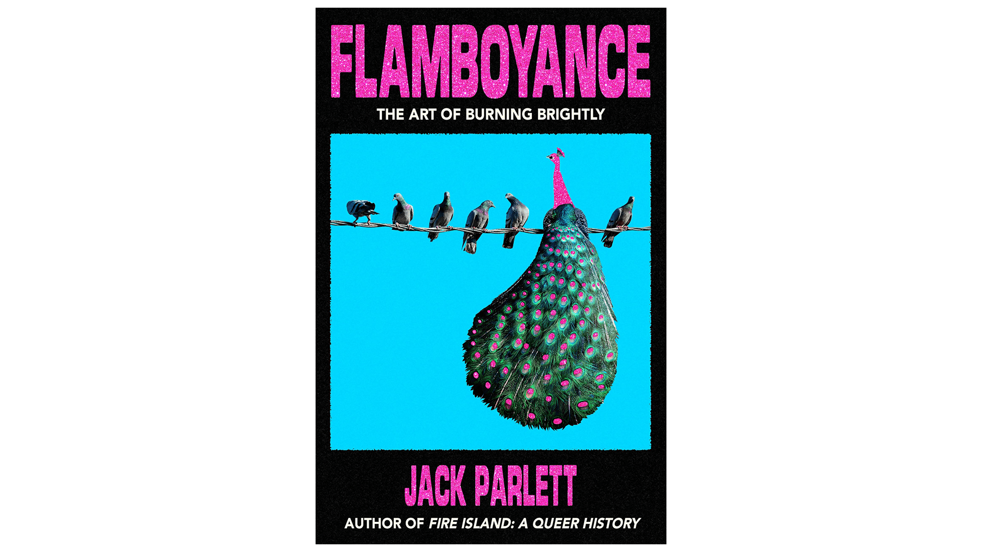 Books For Leos: Flamboyance by Jack Parlett