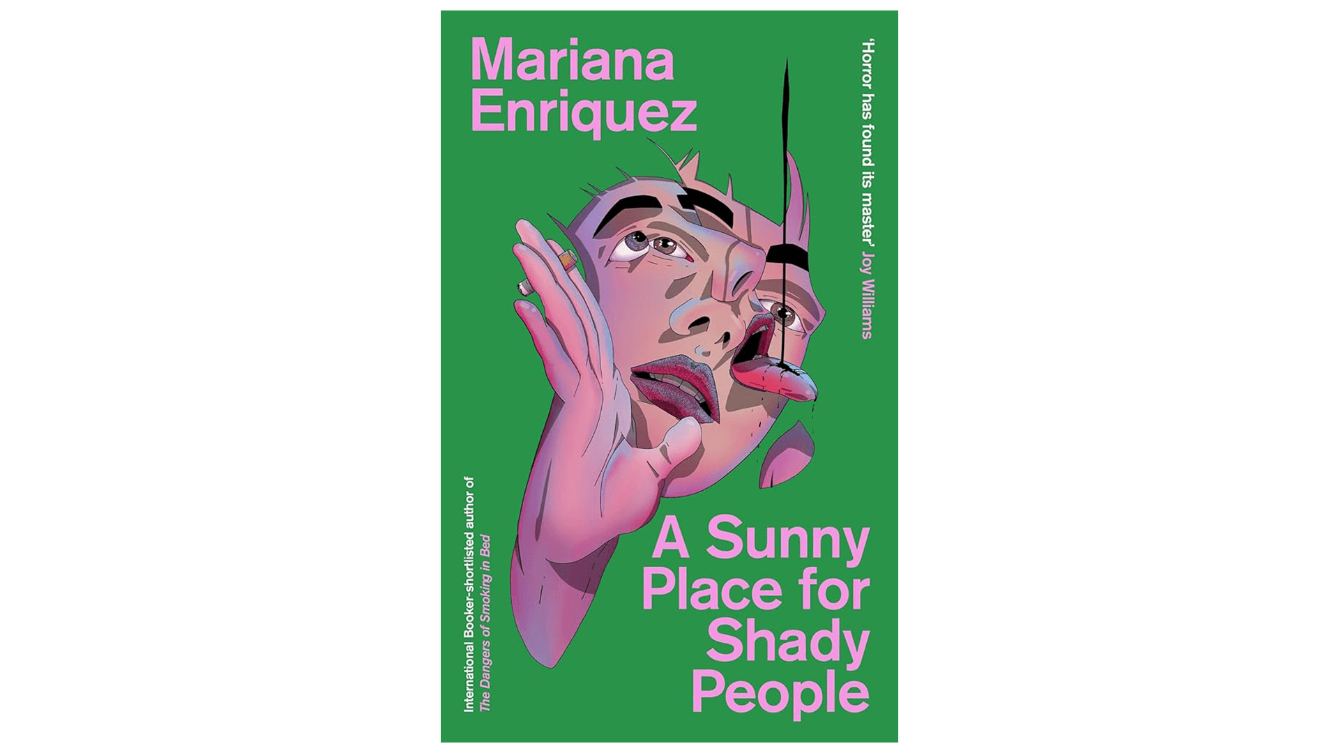 Books For Leos: A Sunny Place for Shady People by Mariana Enriquez