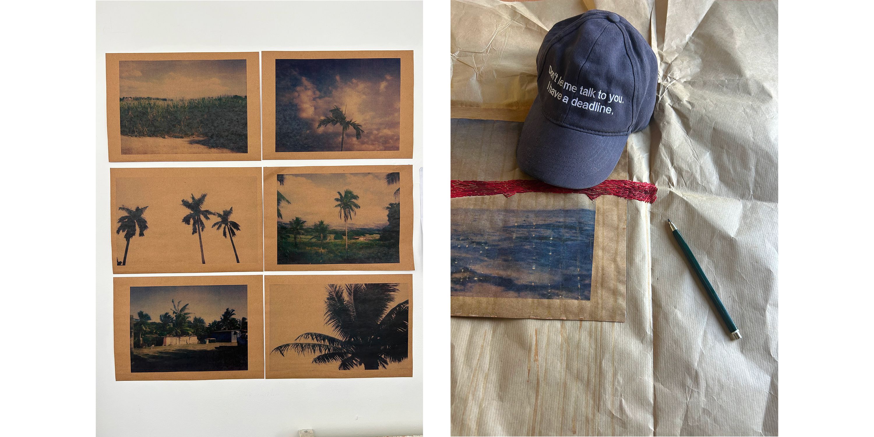 Photo essay Indo-Fijian artist Shivanjani Lal_Credit_Shivanjani Lal-2.jpg
