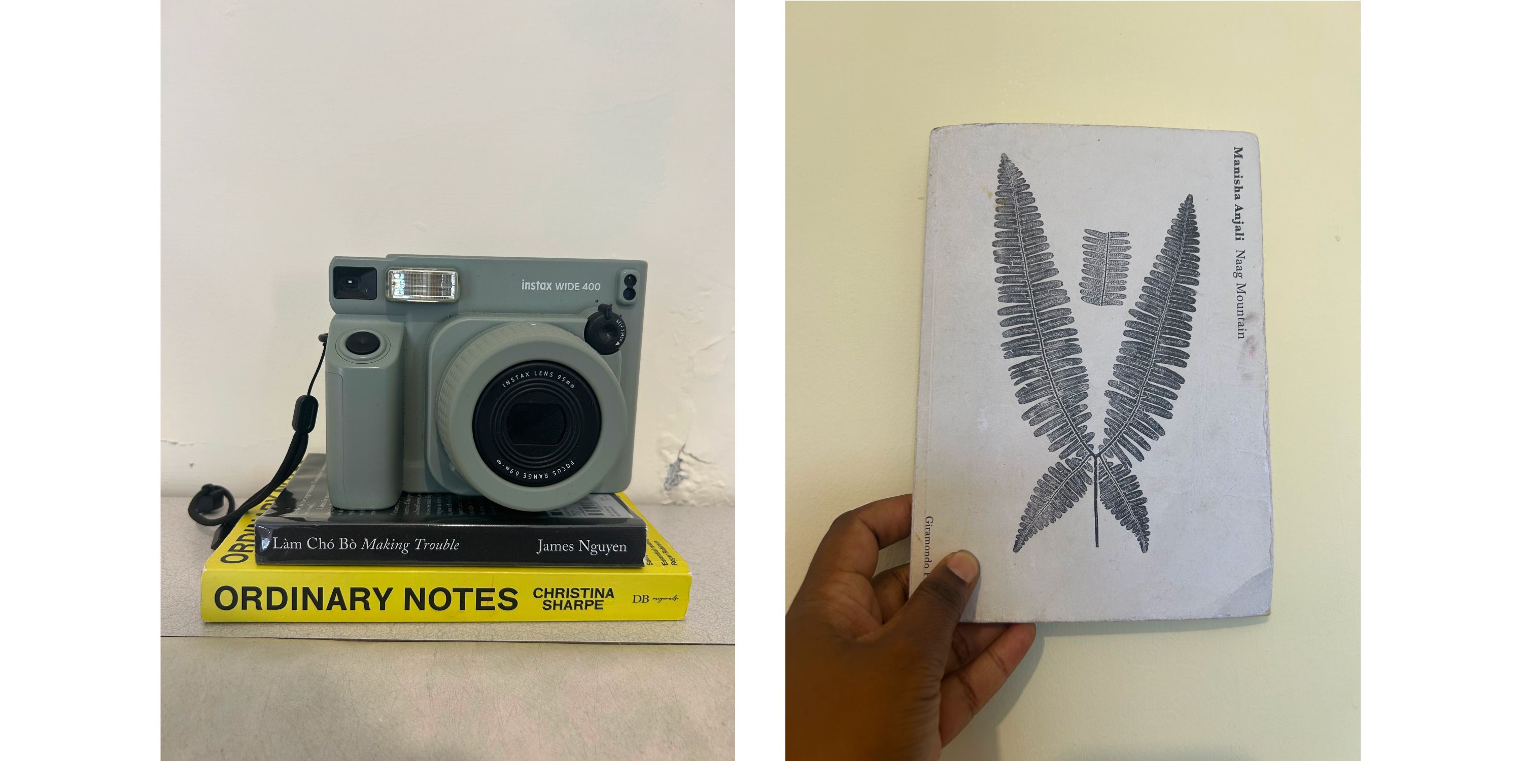 Photo essay Indo-Fijian artist Shivanjani Lal_Credit_Shivanjani Lal-3.jpg