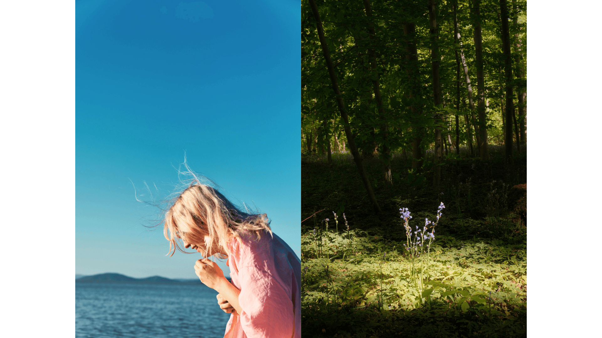 Softening_Embed 1_Credit_Natalia Blauth, Helena Lemaire.png