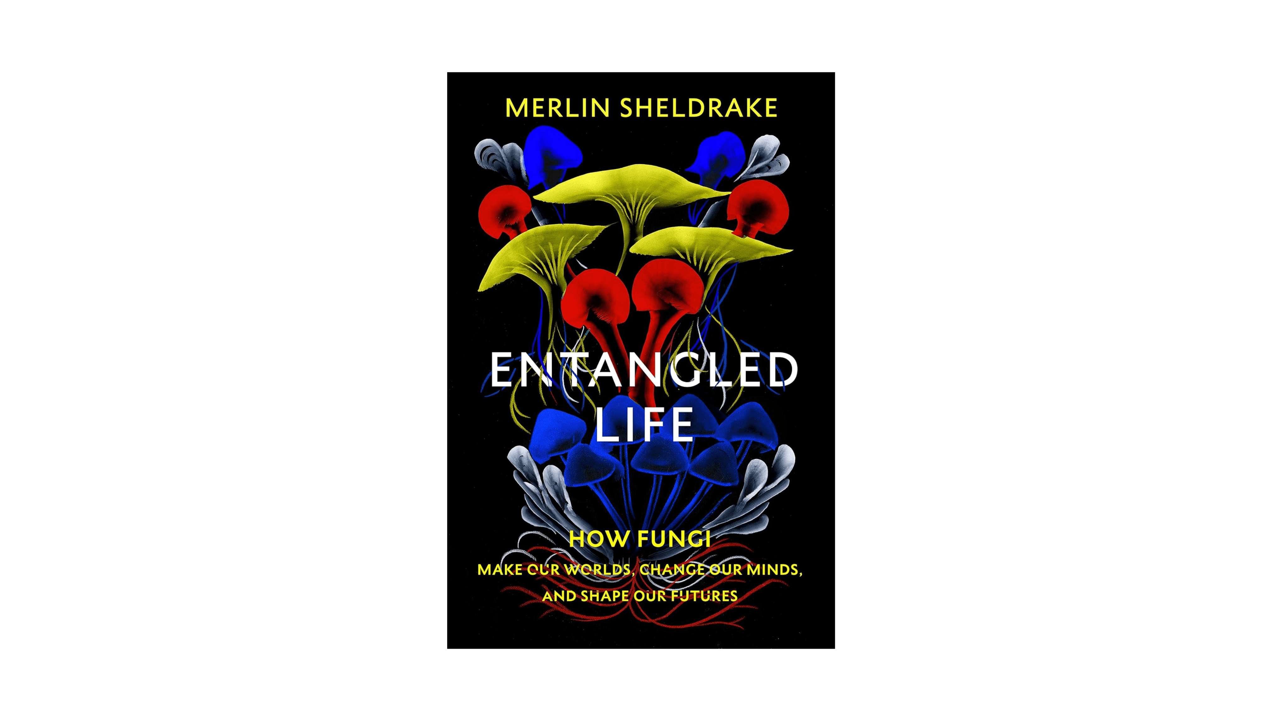 Spring Reading List_Embed3.png