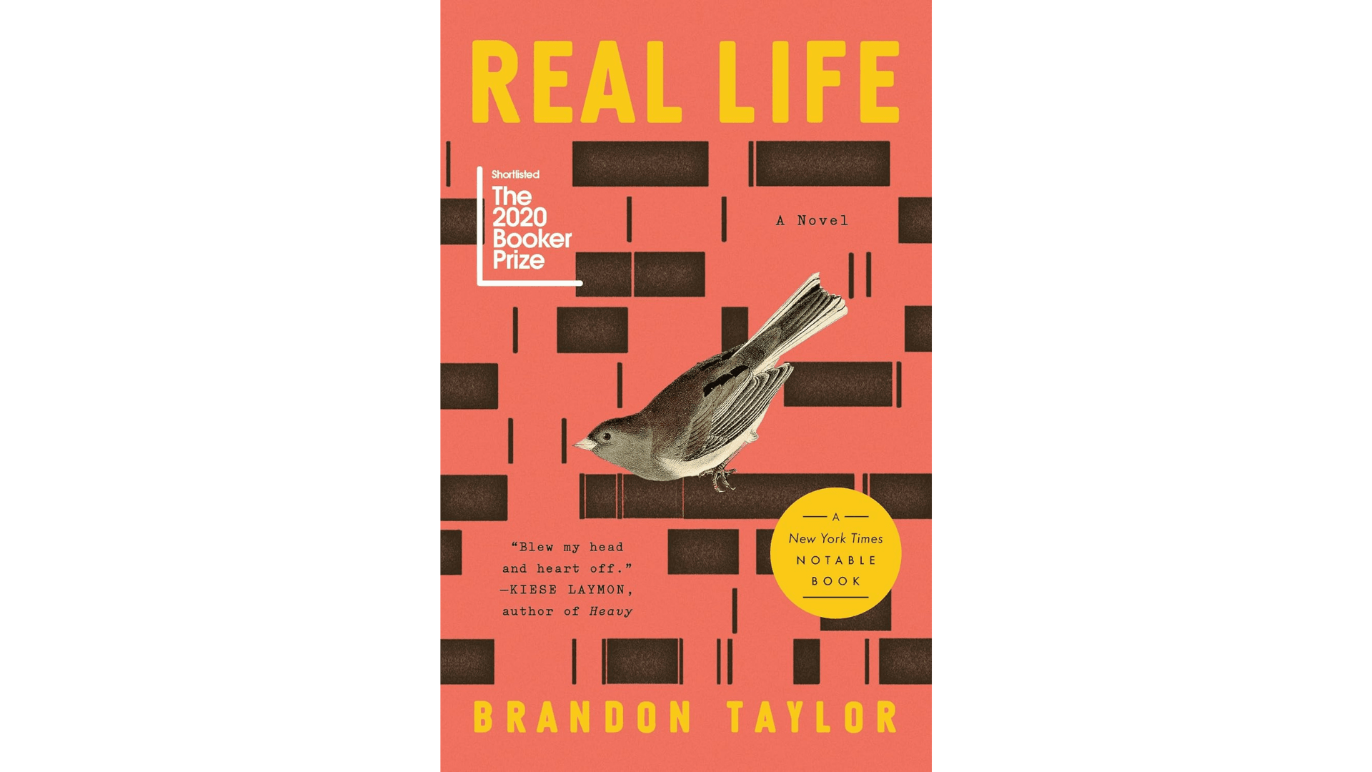 front cover of Real Life by Brandon Taylor
