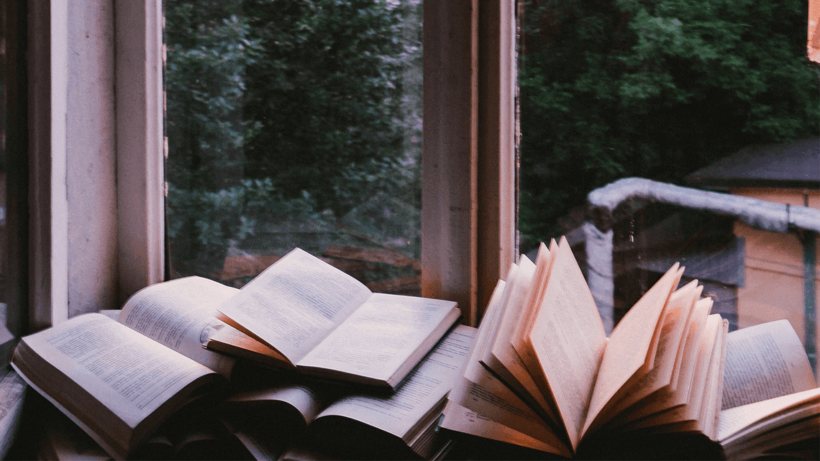 The 5 Best Autumn Reads To Curl Up With – & Why It’s An Author’s Favourite Season