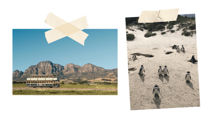 Cape Town_Embed2_Credits_Connect Media SA, Natalie Beecroft