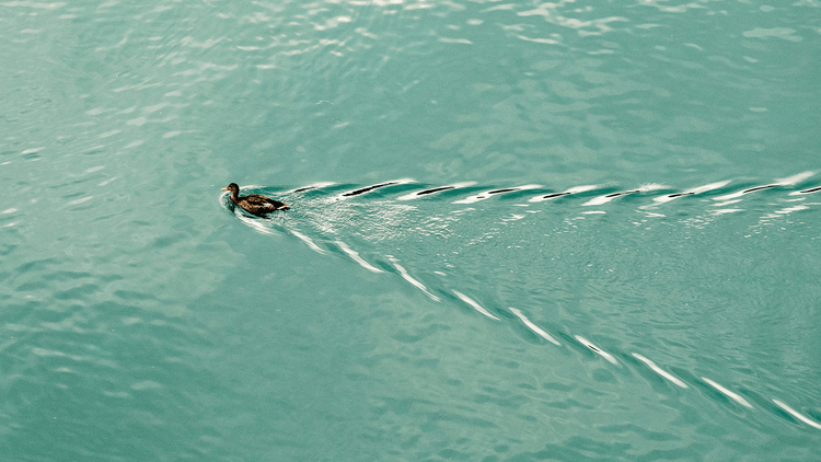 7 Micro-Shifts That Actually Work&nbsp;