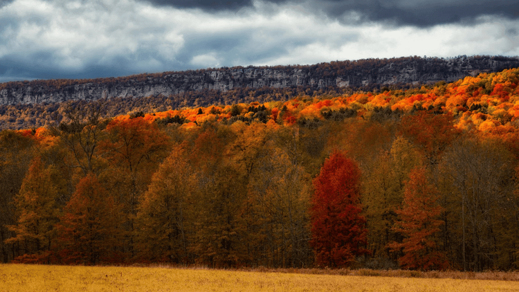 How To Spend 72 Hours In The Hudson Valley, Upstate New York