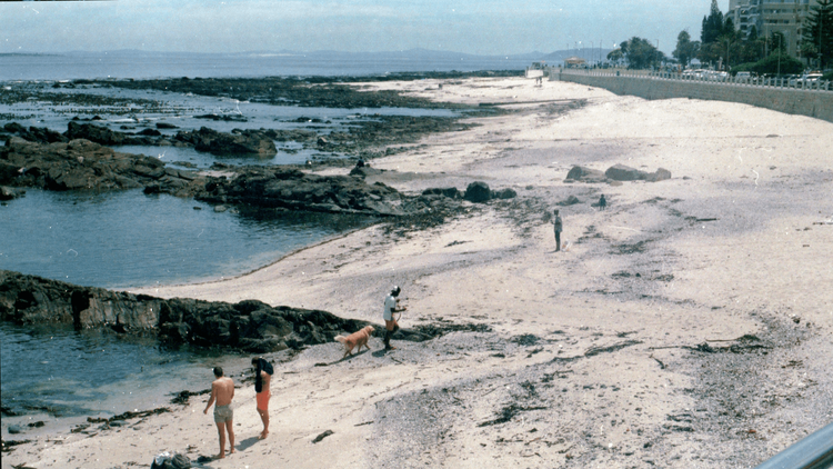 7 Books To Add To Your Cape Town Reading List 