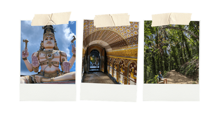 Sashi Perera_SL New Years_Embed2_Credit_Sashi Perera.png