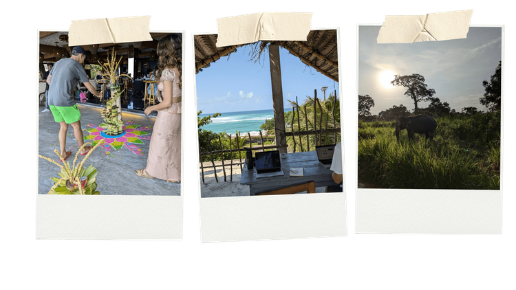 Sashi Perera_SL New Years_Embed3_Credit_Sashi Perera.png