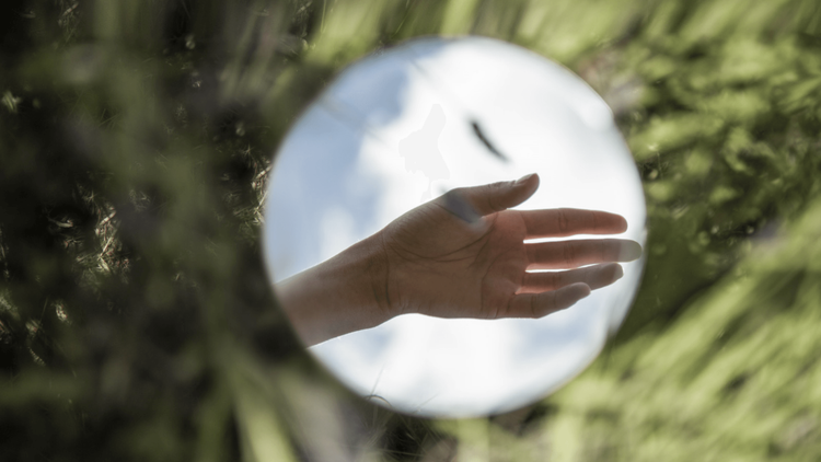 Picture of a hand and foliage