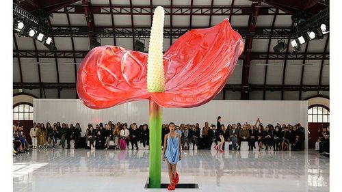 Why The Anthurium Is Fashion’s Favourite Flower  