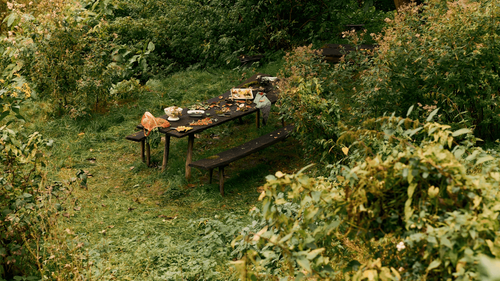 How Do You Do A Book Justice In Another Language? The Translator Of ‘Drive Your Plow...’ Shares Her Process