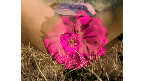 Artist Bex Day On Celebrating The Beauty & Reality Of Female Genitalia 