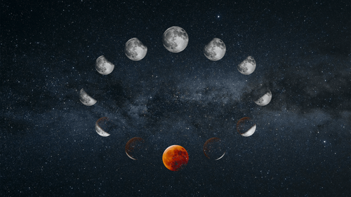 Is Cycle Syncing Pressuring Us To Have The ‘Perfect Period’?