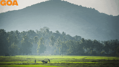 My Hometown: Anjali Mody’s Goa