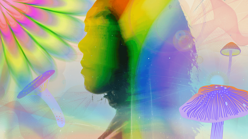 “The Medicine Will Show You What You Need”: How A Week At A Psilocybin Retreat In Jamaica Rewired My Mind