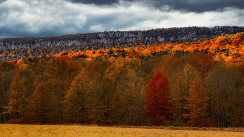 72 Hours In... The Hudson Valley: Where To Hike, Hunt Vintage, Savour Great Food & Slow Down In Upstate New York 