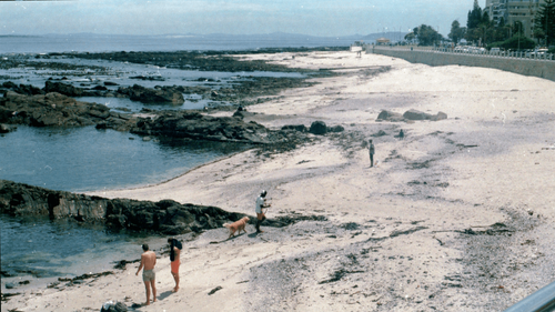 7 Books To Add To Your Cape Town Reading List 