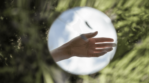 Picture of a hand and foliage
