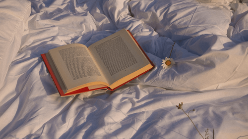 “I Lost My Reading Groove – Bibliotherapy Helped Me Get It Back”