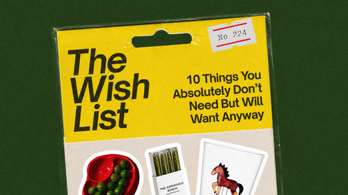 10 Things You Absolutely Don’t Need But Will Want Anyway
