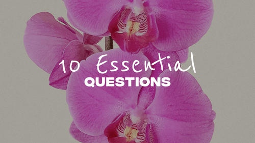 10 Questions To Help Delve Into On Earth We’re Briefly Gorgeous by Ocean Vuong 