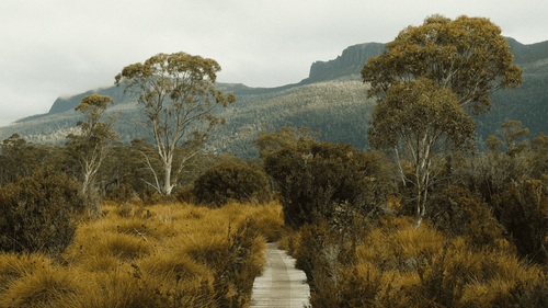 The Travel List: Musician Julia Stone On Where To Hike, Stay, Eat & Drink In Tasmania 