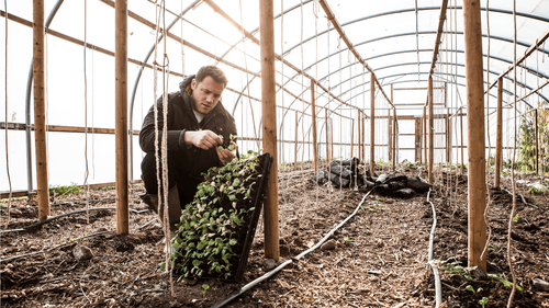 Chef Tommy Banks’ Guide To Foraging & Sustainable Cooking 