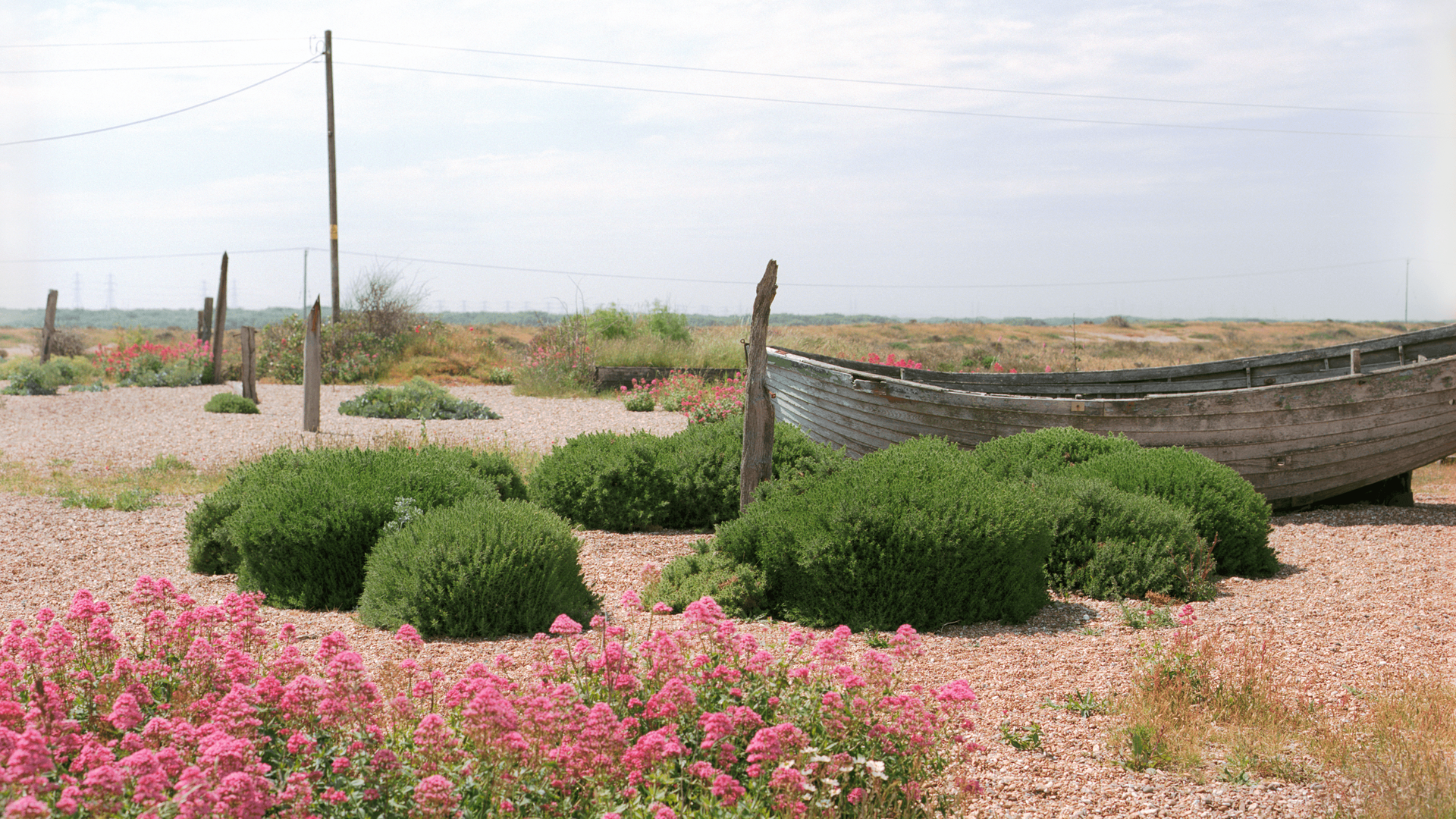 Life In Transition: An Essay On Learning, Identity & The Path To Becoming
