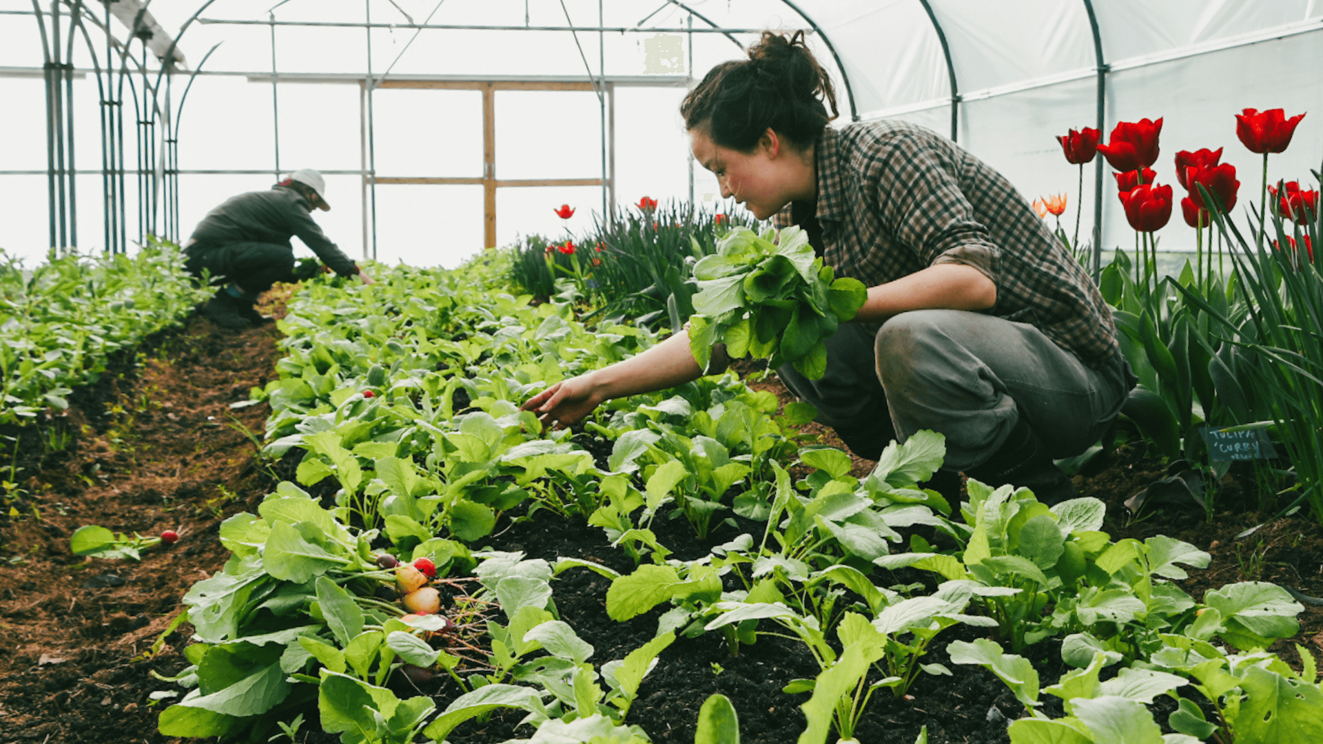 The Sustainable Restaurants Prioritising The Planet As Much As Their Menus
