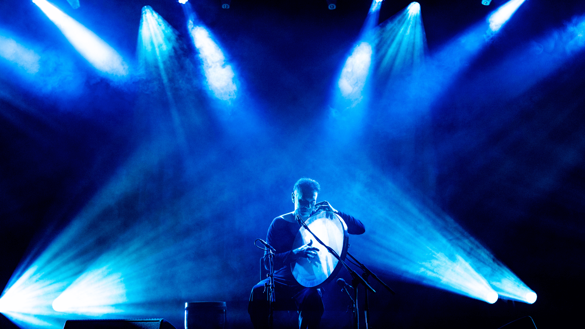 Artist Mohammad Reza Mortazavi plays on stage at Womad