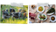 Regen Dining_Embed 1_Credit_Courtesy of Knepp
