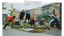 Guerilla Gardening_Embed2_Credit_Courtesy of Ellen Miles​