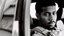 LLF Picks_Embed 1_Credit_Courtesy of LLF.png
