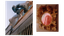 Photo_Series_Camille_Farrah_Lenain_Embed4.png