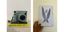 Photo essay Indo-Fijian artist Shivanjani Lal_Credit_Shivanjani Lal-3.jpg