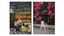 Composite of images of Syrian life by Yamine Daaboul