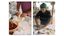 Composite of images of Syrian life by Yamine Daaboul